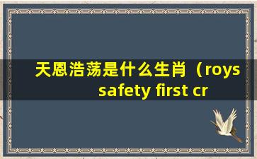 天恩浩荡是什么生肖（roys safety first criterion）